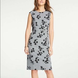 Ann Taylor Petite Floral Cap Sleeve Sheath Dress